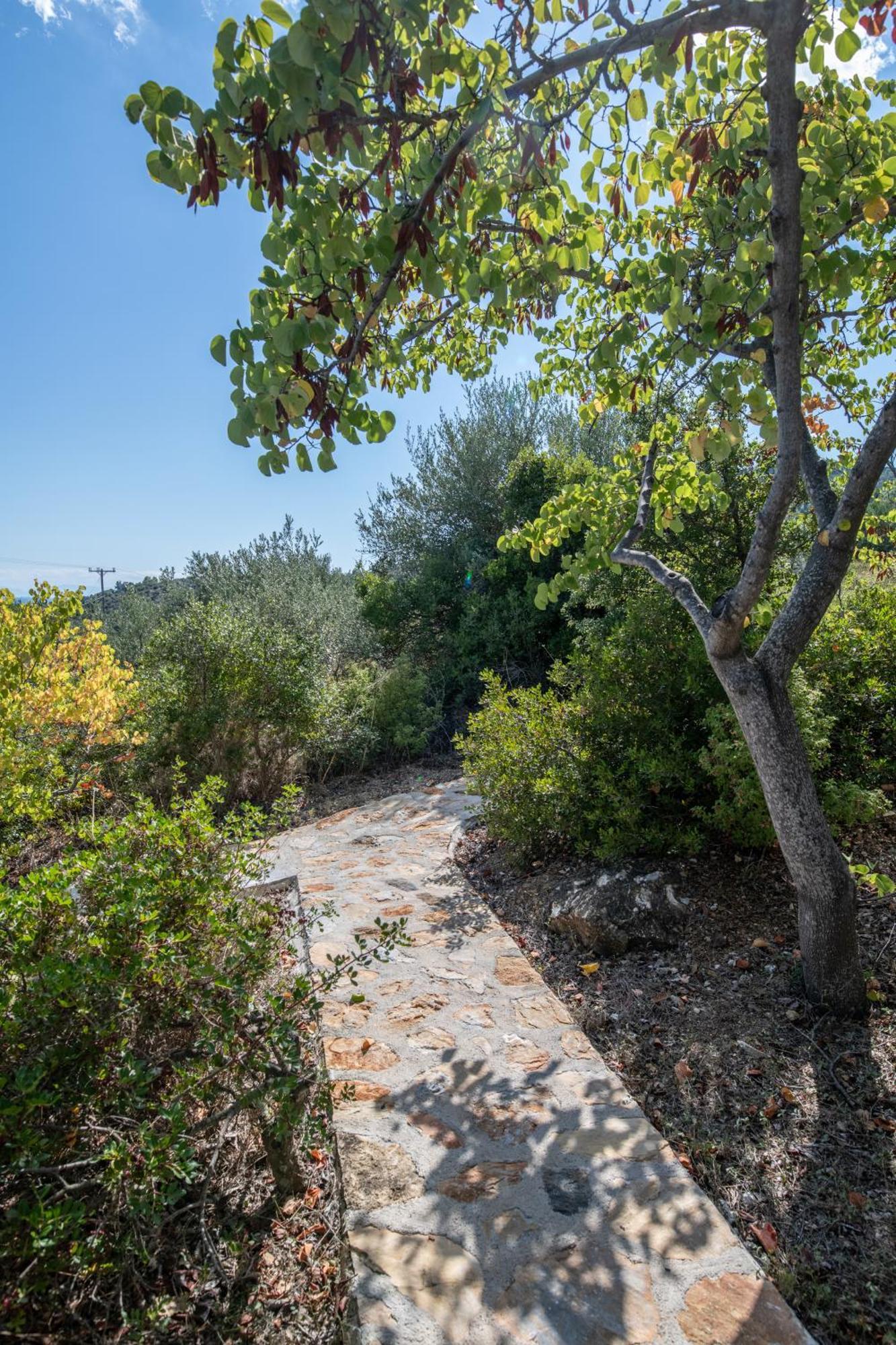 Elea Villas Steni Vala Alonissos Exterior foto